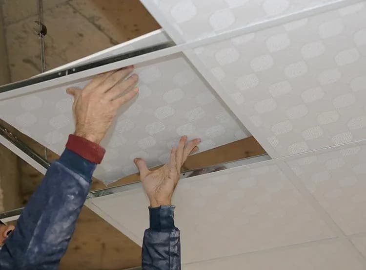 Ceiling & Partition